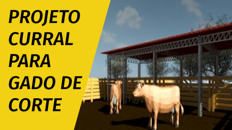 Recomendações para construção curral de gado de corte MÓDULO 500